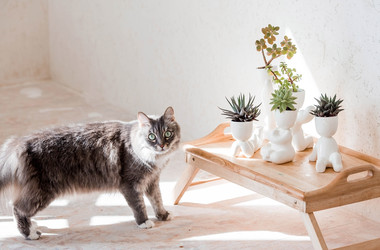 Similar image 22093548