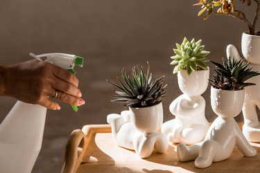 Similar image 22093550