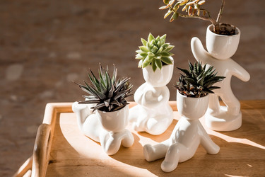 Similar image 22093553