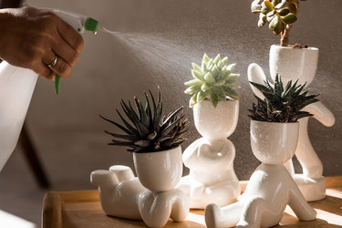 Similar image 22093613