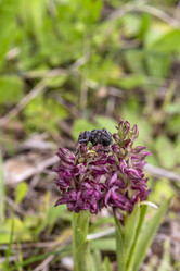 Similar image 22100976