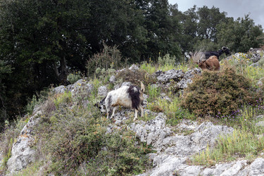 Similar image 22100977