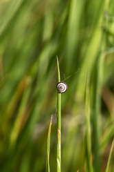 Similar image 22100980