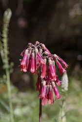 Similar image 22100981