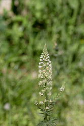 Similar image 22100982