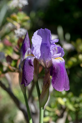 Similar image 22100983