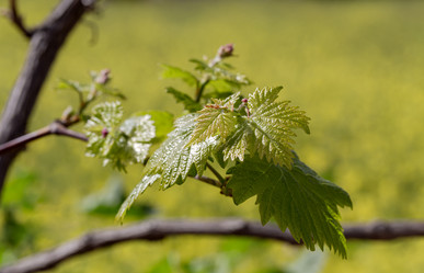 Similar image 22100984