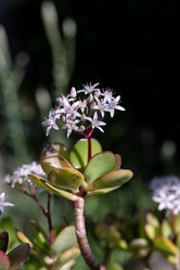 Similar image 22100985