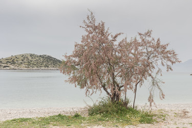 Similar image 22100986