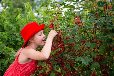 Similar image 22113758