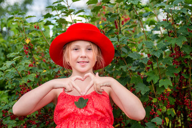 Similar image 22113761