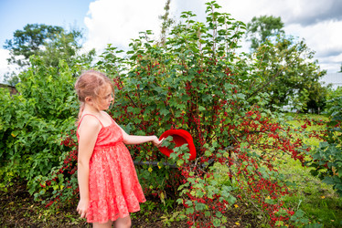 Similar image 22113762