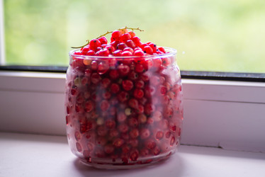 Similar image 22113764