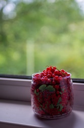 Similar image 22113769