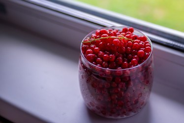 Similar image 22113772