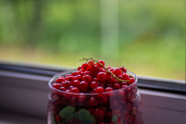 Similar image 22113773