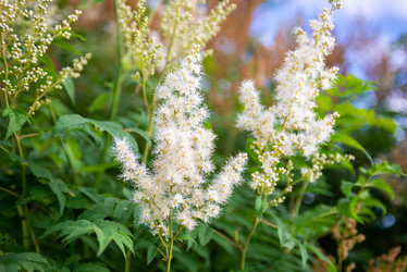 Similar image 22113774