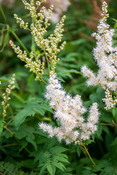 Similar image 22113775