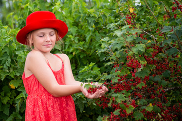 Similar image 22113776