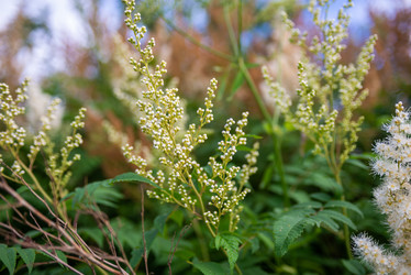 Similar image 22113778