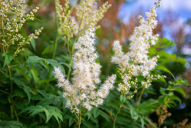 Similar image 22113780