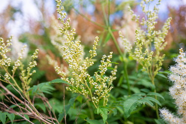 Similar image 22113782