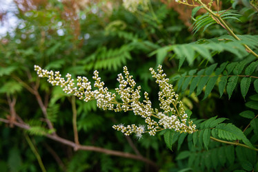 Similar image 22113786