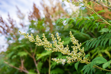 Similar image 22113789