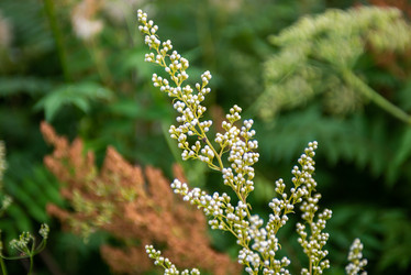 Similar image 22113792