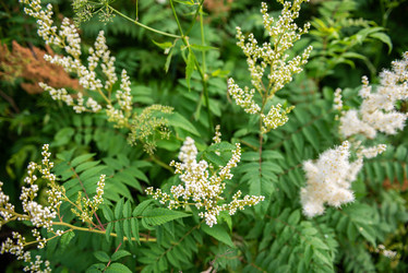 Similar image 22113794