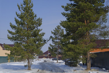 Similar image 22093020