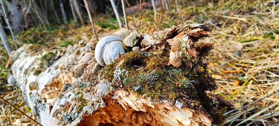 Similar image 22093620