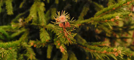 Similar image 22093621