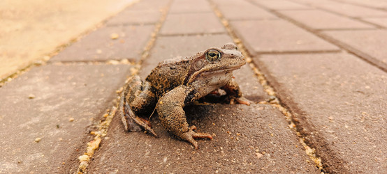 Similar image 22093622