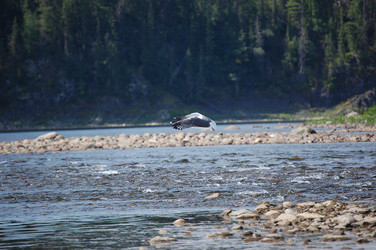 Similar image 22093664