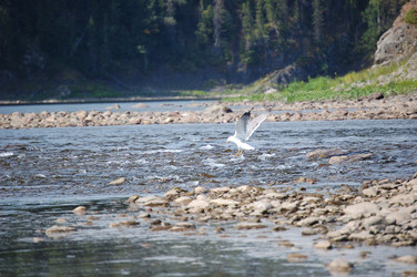 Similar image 22093665