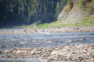 Similar image 22093666