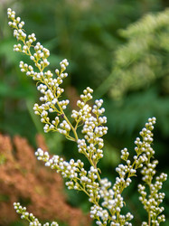 Similar image 22113676