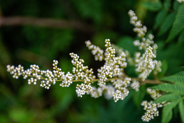 Similar image 22113678