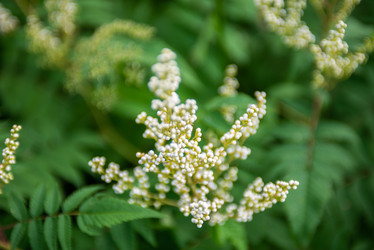 Similar image 22113715