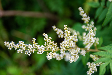 Similar image 22113717