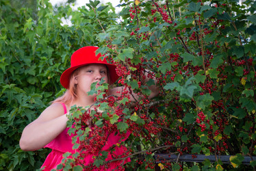 Similar image 22113803