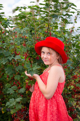 Similar image 22113805