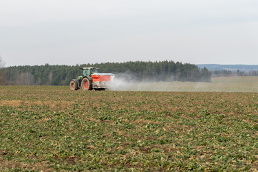 Similar image 22124883