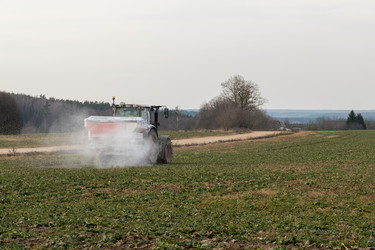 Similar image 22124884