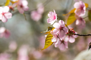 Similar image 22093592