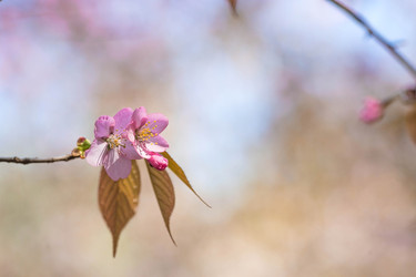 Similar image 22093602