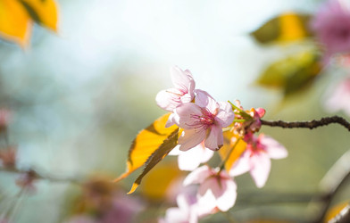 Similar image 22093603