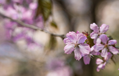 Similar image 22093604