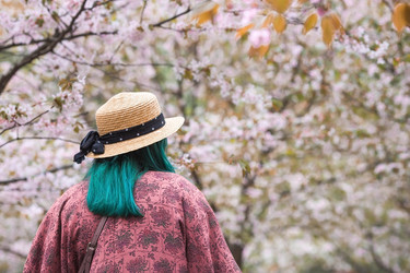 Similar image 22093605